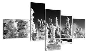 Obraz - zimné hory (Obraz 150x85cm)