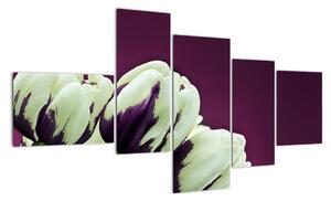 Makro tulipánov - obraz (Obraz 150x85cm)