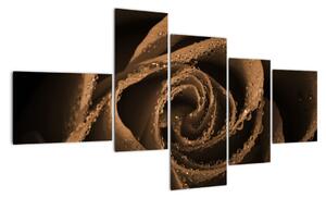 Detail ruže - obraz (Obraz 150x85cm)