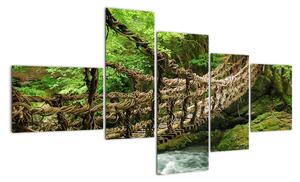 Obraz - most v prírode (Obraz 150x85cm)