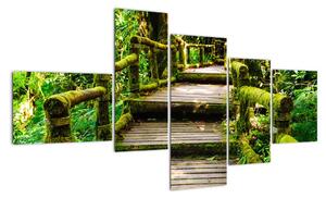 Schody v záhrade - obraz (Obraz 150x85cm)