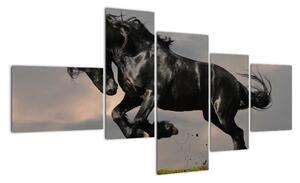 Čierny kôň, obraz (Obraz 150x85cm)