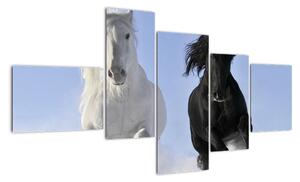 Kone, obraz (Obraz 150x85cm)