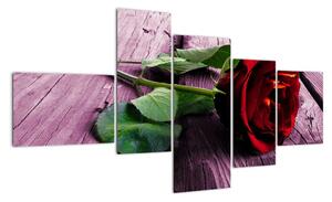 Ležiaci ruža - obraz (Obraz 150x85cm)