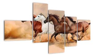 Obraz kôň (Obraz 150x85cm)