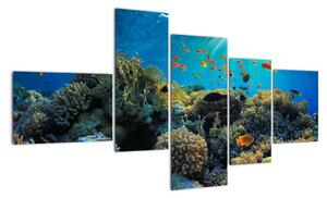 Obraz podmorského sveta (Obraz 150x85cm)
