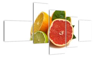 Citrusové plody - obraz (Obraz 150x85cm)