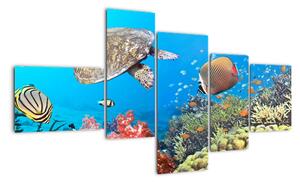 Podmorský svet, obraz (Obraz 150x85cm)