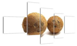 Kokosový orech, obraz (Obraz 150x85cm)