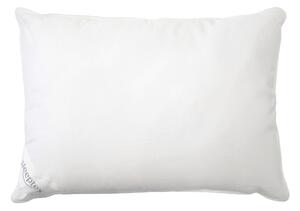 VANKÚŠ POD HLAVU, 40/60 cm Sleeptex - Prikrývky & vankúše