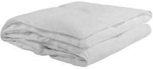 CELOROČNÁ PRIKRÝVKA, 220/140 cm, Sleeptex - Prikrývky & vankúše