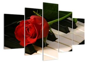 Obraz ruže na klavíri (Obraz 150x105cm)