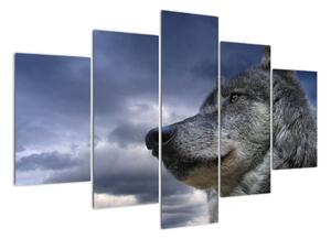 Obraz vlka (Obraz 150x105cm)