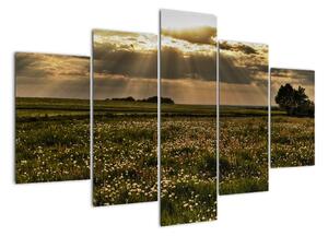 Moderný obraz prírody (Obraz 150x105cm)