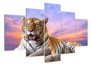 Obraz ležiaceho tigra (Obraz 150x105cm)