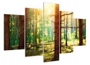 Moderný obraz - les (Obraz 150x105cm)