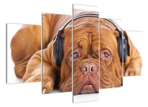 Moderný obraz - pes so slúchadlami (Obraz 150x105cm)