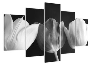 Čiernobiely obraz - tri tulipány (Obraz 150x105cm)