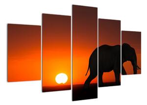 Obraz slona v zapadajúcom slnku (Obraz 150x105cm)