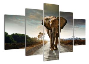 Obraz kráčajúceho slona (Obraz 150x105cm)