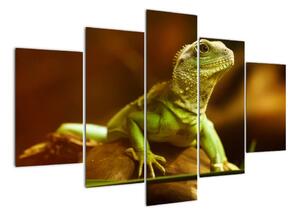 Obraz na stenu - zvieratá (Obraz 150x105cm)