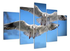 Obraz do bytu - vtáky (Obraz 150x105cm)