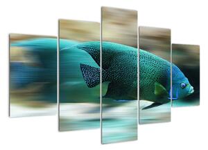 Obraz na stenu - ryby (Obraz 150x105cm)