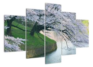 Obraz kvitnúcich stromov (Obraz 150x105cm)
