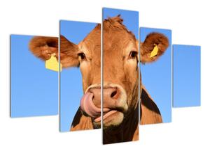 Obraz kravy (Obraz 150x105cm)