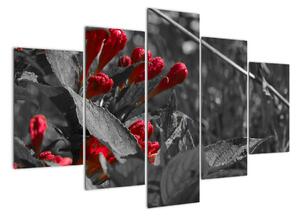 Červené kvety - moderné obrazy (Obraz 150x105cm)