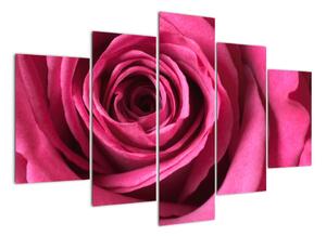 Obraz ružové ruže (Obraz 150x105cm)