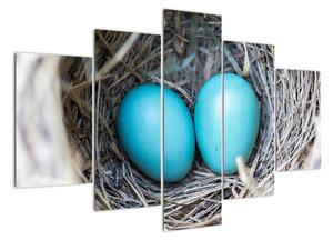 Obraz modrých vajíčok v hniezde (Obraz 150x105cm)