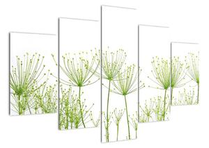 Obraz rastlín na bielom pozadí (Obraz 150x105cm)