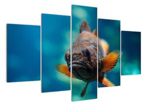Obraz - ryba (Obraz 150x105cm)