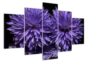 Obraz fialových kvetov (Obraz 150x105cm)