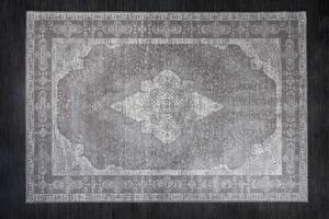 Dizajnový koberec Rex 350 x 240 cm svetlosivý