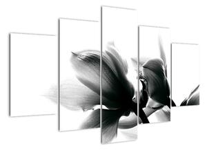 Obraz čiernobielych kvetov (Obraz 150x105cm)