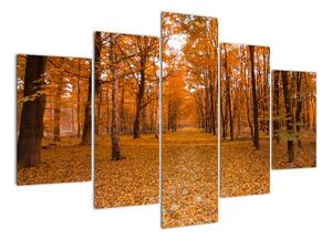 Obraz lesné cesty (Obraz 150x105cm)