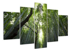 Obraz lesov (Obraz 150x105cm)