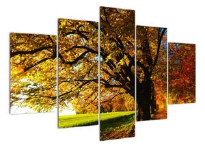 Obraz jesennej krajiny (Obraz 150x105cm)
