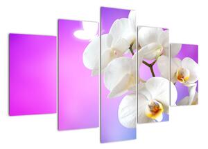 Obraz s orchideí (Obraz 150x105cm)