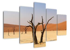 Obraz púšte (Obraz 150x105cm)