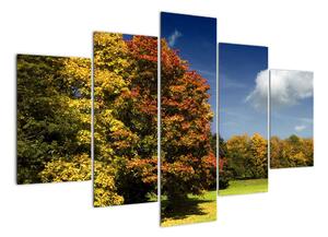 Jesenná krajina, obraz (Obraz 150x105cm)