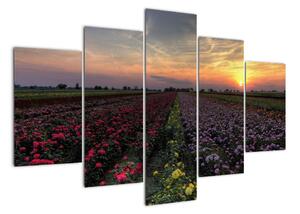 Lány kvetín, obrazy (Obraz 150x105cm)