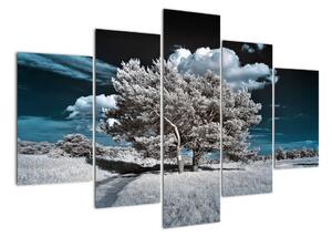 Strom v zime, obraz na stenu (Obraz 150x105cm)