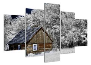 Chaloupka v zime, obrazy (Obraz 150x105cm)