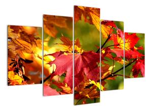 Jesenné lístie, obraz (Obraz 150x105cm)