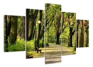 Cesta v parku - obraz (Obraz 150x105cm)