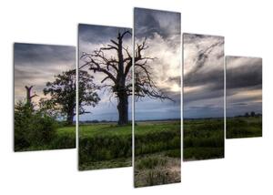 Obraz stromu (Obraz 150x105cm)
