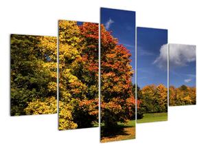 Jesenné stromy - moderný obraz (Obraz 150x105cm)